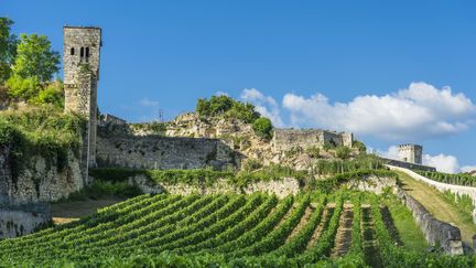 Patrimoine de l'UNESCO : le succès touristique de Saint-Émilion