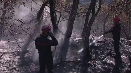 En Isère, mardi 9 août, le feu n'a pas progressé dans la nuit, mais d'importants moyens restent engagés.&nbsp;Au total, 380 sapeurs-pompiers sont mobilisés. (FRANCE 2)