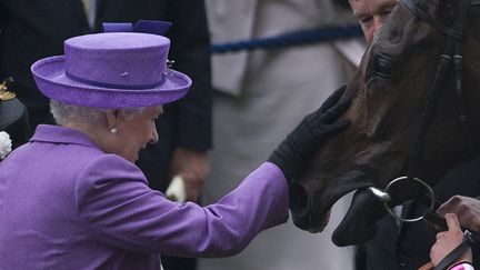 La reine d'Angleterre f&eacute;licite sa jument Estimate apr&egrave;s sa victoire lors de la Gold Cup d'Ascot (Royaume-Uni), le 20 juin 2013. (CARL COURT / AFP)