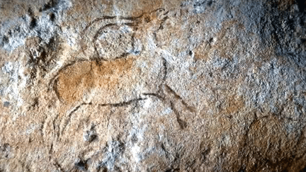 Photo jointe au communiqué et censée prouver l'existence de cette deuxième grotte ornée à Montignac
 (Capture d&#039;écran-Culturebox)