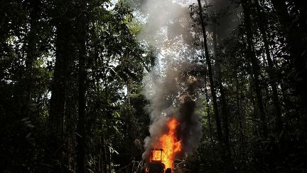 année record du déboisement, 27.000 km² de forêts avaient été rasés. Par la suite, le gouvernement a mené des actions de prévention, ce qui a permis une réduction significative de la déforestation de l'Amazonie de près de 80% jusqu’à aujourd’hui, selon le spécialiste de l'institut Imazon, Adalberto Verissimo. (Reuters/Nacho Doce)