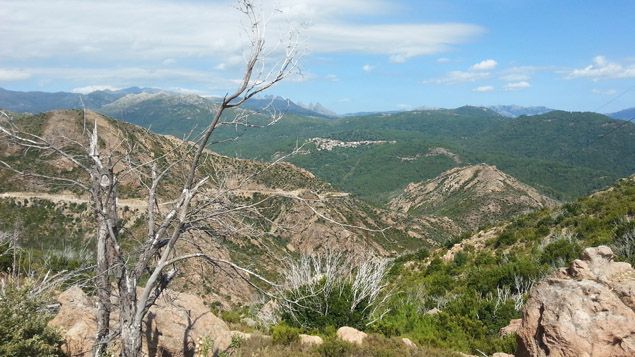 &nbsp; (La région isolée et montagneuse de l’Alta Rocca © RF / Benjamin Illy)