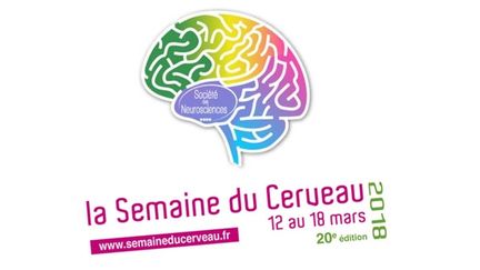 Une semaine pour mieux connaître... votre cerveau !