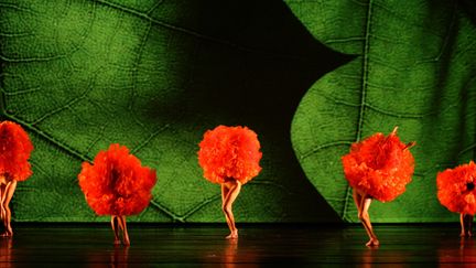 MOMIX au Théâtre des Champs-Elysées
 (Max Pucciariello)