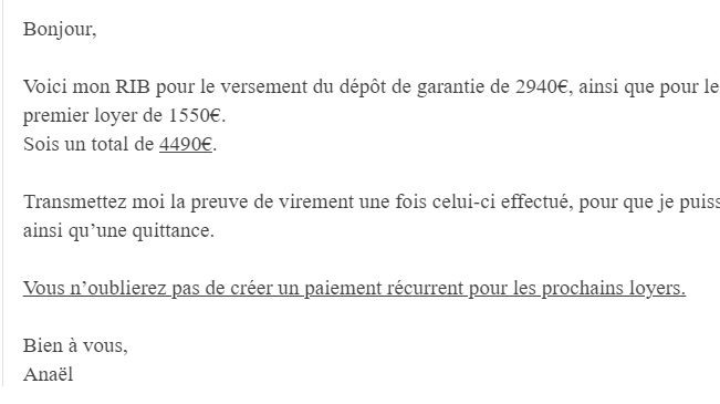 Un des nombreux mails échangés entre l'escroc et sa victime. (FRANCEINFO / RADIO FRANCE)