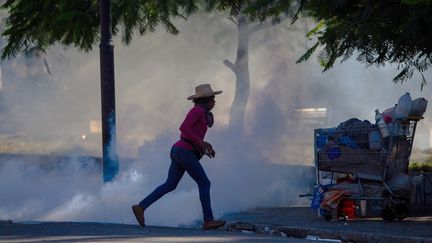 Des affrontements entre la police et des manifestants ont eu lieu près du Palais présidentiel&nbsp;à&nbsp;Port -au-Prince, capitale d'Haïti&nbsp;(08 février 2021). (JEAN MARC HERVE ABELARD / EFE)