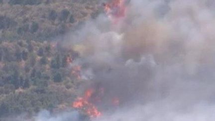 Un incendie en Gr&egrave;ce. (CAPTURE D'ÉCRAN FRANCE 2)