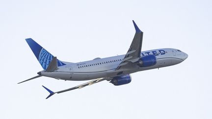 Un Boeing 737 MAX 8 d'United Airlines, à New York, le 8 novembre 2024. (NICOLAS ECONOMOU/NURPHOTO/AFP)