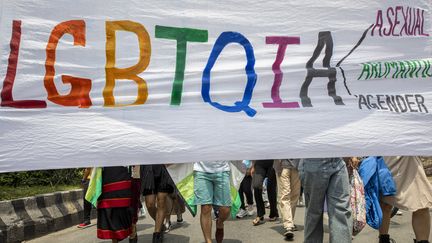 Un drapeau brandi pas des manifestants lors de la pride du Népal à Kathmandou, le 11 juin 2022. (NARENDRA SHRESTHA / EPA)