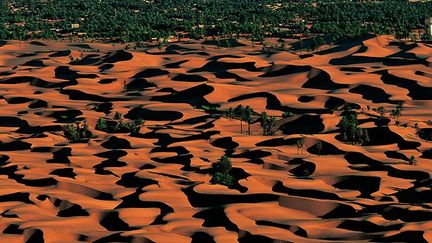 L’oasis d’El-Goléa  (Yann Arthus-Bertrand)