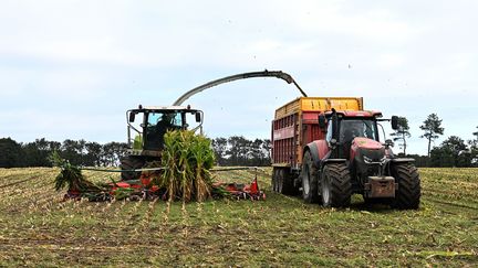 Agriculture : des mesures annoncées pour faire face aux événements climatiques