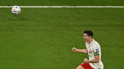 L'attaquant polonais Robert Lewandowski célèbre le deuxième but de son équipe lors du match entre la Pologne et l'Arabie Saoudite au stade Education City à Al-Rayyan, à l'ouest de Doha, le 26 novembre 2022.&nbsp; (MANAN VATSYAYANA / AFP)