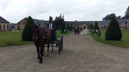 Les&nbsp;haras national de Saint-Lô (Manche), en juillet 2016. (RADIO FRANCE / LUCIE THUILLET)