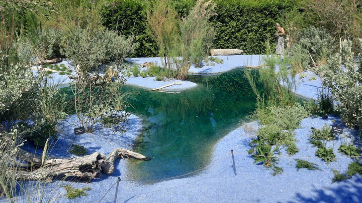 Le jardin "Le chant du sel" évoque la montée du niveau de la mer (ANNE CHEPEAU / FRANCEINFO / RADIO FRANCE)