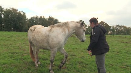 C'est dans cette prairie qu'Altesse de la Serre a été tuée par le tir d'un chasseur. (Zahra Douche / France Télévisions)