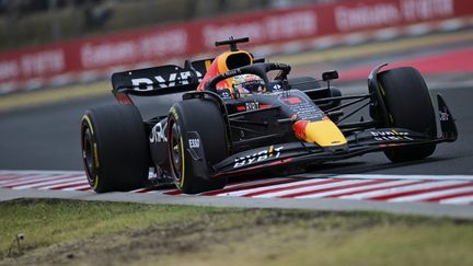 Max Verstappen sur la piste du Hungaroring, à Budapest, le 31 juillet 2022. (JURE MAKOVEC / AFP)