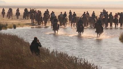 Baie de Somme :&nbsp;l'onirique transhumance des chevaux&nbsp;Henson, entre ciel et mer (FRANCE 3)