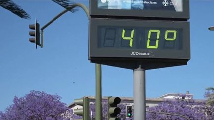 Espagne : la canicule en Andalousie inquiète (France 3)