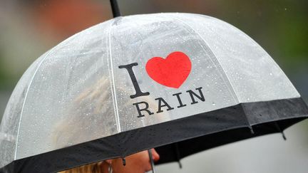 "J'aime la pluie" indique ce parapluie &agrave; Sonneberg (Allemagne), le 26 mai 2013. Il suffit de s'en convaincre... (STEFAN THOMAS / DPA / AFP)