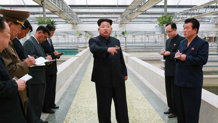 Le dirigeant nord-cor&eacute;en, Kim Jong-un, r&eacute;primande les employ&eacute;s d'un &eacute;levage de tortues, sur une photo diffus&eacute;e le 19 mai 2015 par le&nbsp;Rodong Sinmun, l'organe du parti unique. (  MAXPPP )