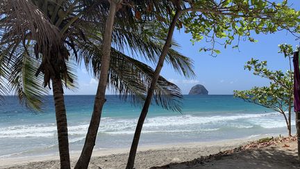 Une plage de Martinique en février 2019. (LP/AURELIE AUDUREAU / MAXPPP)