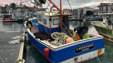 REPORTAGE. "Trouver les solutions pour pouvoir continuer à travailler" : aidés par des scientifiques, les pêcheurs du golfe de Gascogne attendent la mise au point des répulsifs à dauphins