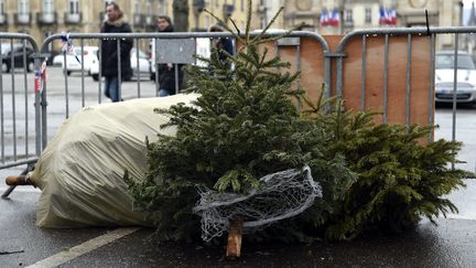 Un point de collecte de sapins de Noël à Nancy (Lorraine), le 2 janvier 2016. (MAXPPP)