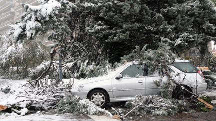 A Grenoble (Is&egrave;re), le 28 octobre 2012. (JEAN-PIERRE CLATOT / AFP)