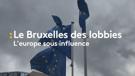 Plusieurs milliers d'organisations de&nbsp;lobbying&nbsp;ont des bureaux à&nbsp;Bruxelles, au plus près des institutions européennes. (NOEMIE BONNIN / RADIO FRANCE)