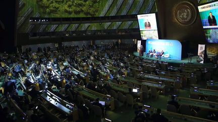 Le président turc, Recep Tayyip Erdogan, prononce un discours lors du sommet de l'ONU pour le climat, le 23 septembre 2019 à New York (Etats-Unis). (MURAT KULA / ANADOLU AGENCY / AFP)