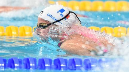 Lara Grangeon sera en finale du 400m quatre nages (STEPHANE KEMPINAIRE / STEPHANE KEMPINAIRE)