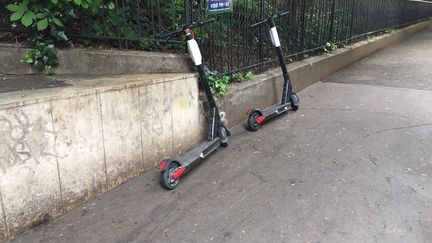 Des trottinettes en libre-service de la marque "Bird" dans les rues de Paris. (THOMAS PONTILLON / FRANCE-INFO)