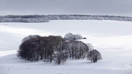 L'Aubrac sous la neige, le 10 février 2018. (CAVALIER MICHEL / HEMIS.FR / AFP)