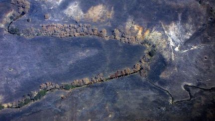 par un récent incendie bordent un petit ruisseau près Melbourne, la deuxième agglomération urbaine d'Australie après Sydney.  (REUTERS/David Gray)