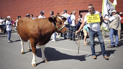 Des producteurs laitiers manifestent à Angers (Maine-et-Loire), le 23 mai 2011.&nbsp; (JEAN-SEBASTIEN EVRARD / AFP)