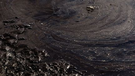 Nappe pétrolière près du rivage de Grand Isle (Louisiane) le 27 mai (Win McNamee - Getty Images - AFP)