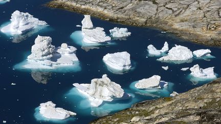 Des icebergs au large du Groenland, le 3 avril 2020 à Tiniteqilaaq (Danemark). (PHILIPPE ROY / AFP)