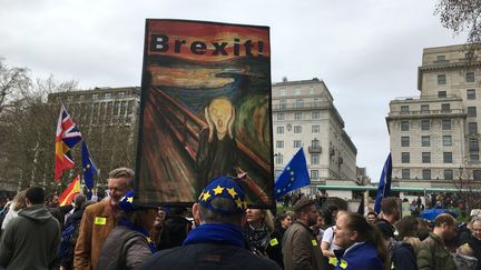 Des partisans d'un maintien du Royuame-Uni dans l'Union européenne manifestent à Londres (Royaume-Uni), le 23 mars 2019. (MARC JONES / REUTERS)