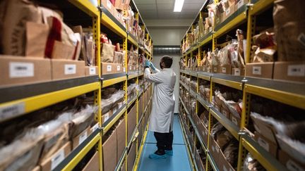 Un gendarme range des éléments liés à un dossier au&nbsp;Pôle Judiciaire de la Gendarmerie Nationale à&nbsp;Cergy-Pontoise le 26 janvier 2021. (MARTIN BUREAU / AFP)