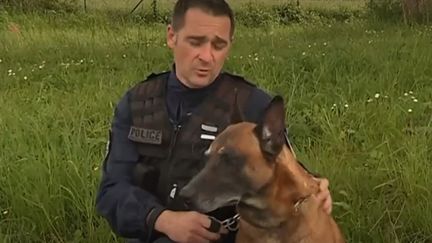 Police : un chien et son maître récompensés