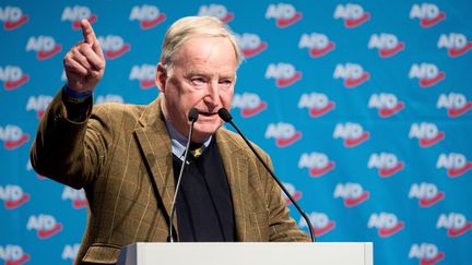 Alexander Gauland, cofondateur du parti&nbsp;Alternative pour l'Allemagne (AfD), le 3 décembre 2017, à Hanovre. (HAUKE-CHRISTIAN DITTRICH / DPA / MAXPPP)