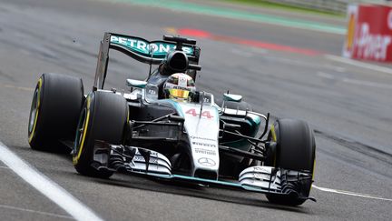 Le pilote britannique Lewis Hamilton triomphe en Belgique (ANDREJ ISAKOVIC / POOL)