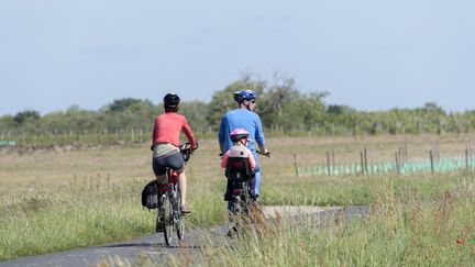 Des cyclistes sur une route.&nbsp; (CHRISTIAN WATIER / MAXPPP)