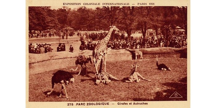 Exposition coloniale 1931
 (Editions BRAUN)