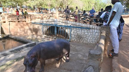 Le MNN est "le miroir du Niger, son reflet socioculturel. Culture, histoire, archéologie, paléontologie... Le zoo fait partie de cette tradition pluridisciplinaire. Ici, chaque Nigérien, quel que soit son niveau, peut mieux comprendre son pays", affirme à l’AFP son directeur Haladou Mamane, rappelant qu’une grande partie du public n'est jamais allée à l'école.&nbsp; &nbsp; (ISSOUF SANOGO / AFP)