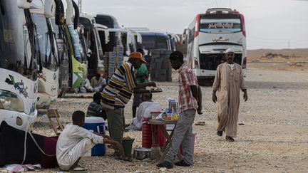 Des chauffeurs soudanais attendent près de leurs bus à leur arrivée dans le village égyptien de Wadi Karkar, le 14 mai 2023, après avoir fui le Soudan déchiré par la guerre. (KHALED DESOUKI / AFP)