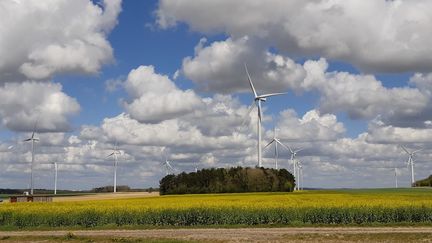 L'un des parcs d'éoliennes de Montagne-Fayel, dans la Somme, mai 2021 (ETIENNE MONIN / FRANCEINFO / RADIO FRANCE)