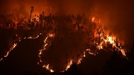 Le feu, qui s'était déclaré samedi après-midi à Pedrogao Grande dans le centre du Portugal, continuait de faire rage, se propageant aux régions voisines de Castelo Branco et Coimbra.&nbsp; (MIGUEL RIOPA / AFP)