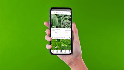 Ces applis qui ont changé nos vies: PlantNet (FRANCEINFO)