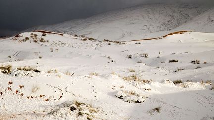 Les alentours de la ville d'Aïn Sefra en Algérie, le 21 janvier 2017. (Geoff Robinson / SIPA)